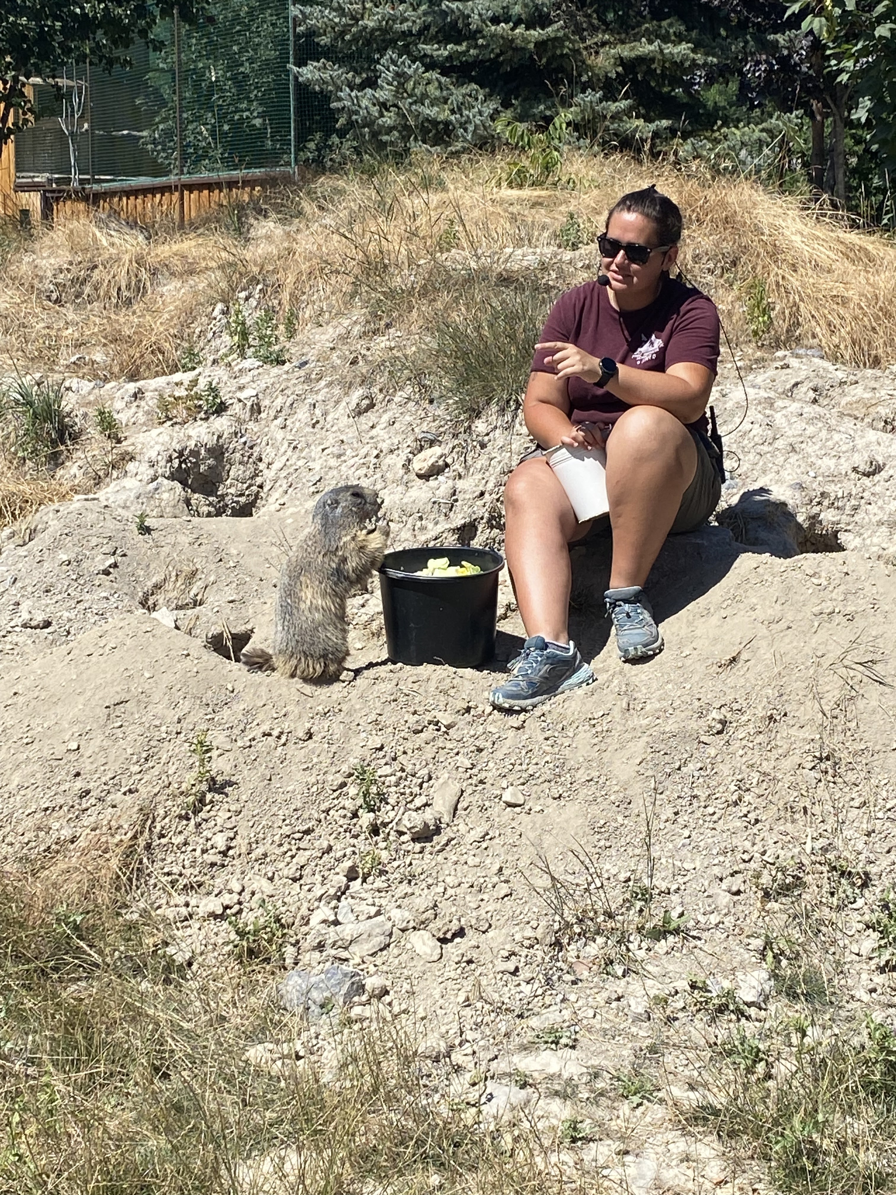 Photo n° 4 de l'avis de Helene.o fait le 29/07/2023 à 14:00