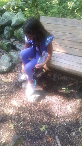 Tourist Attraction «Governor Ames Estate», reviews and photos, 35 Oliver St, North Easton, MA 02356, USA