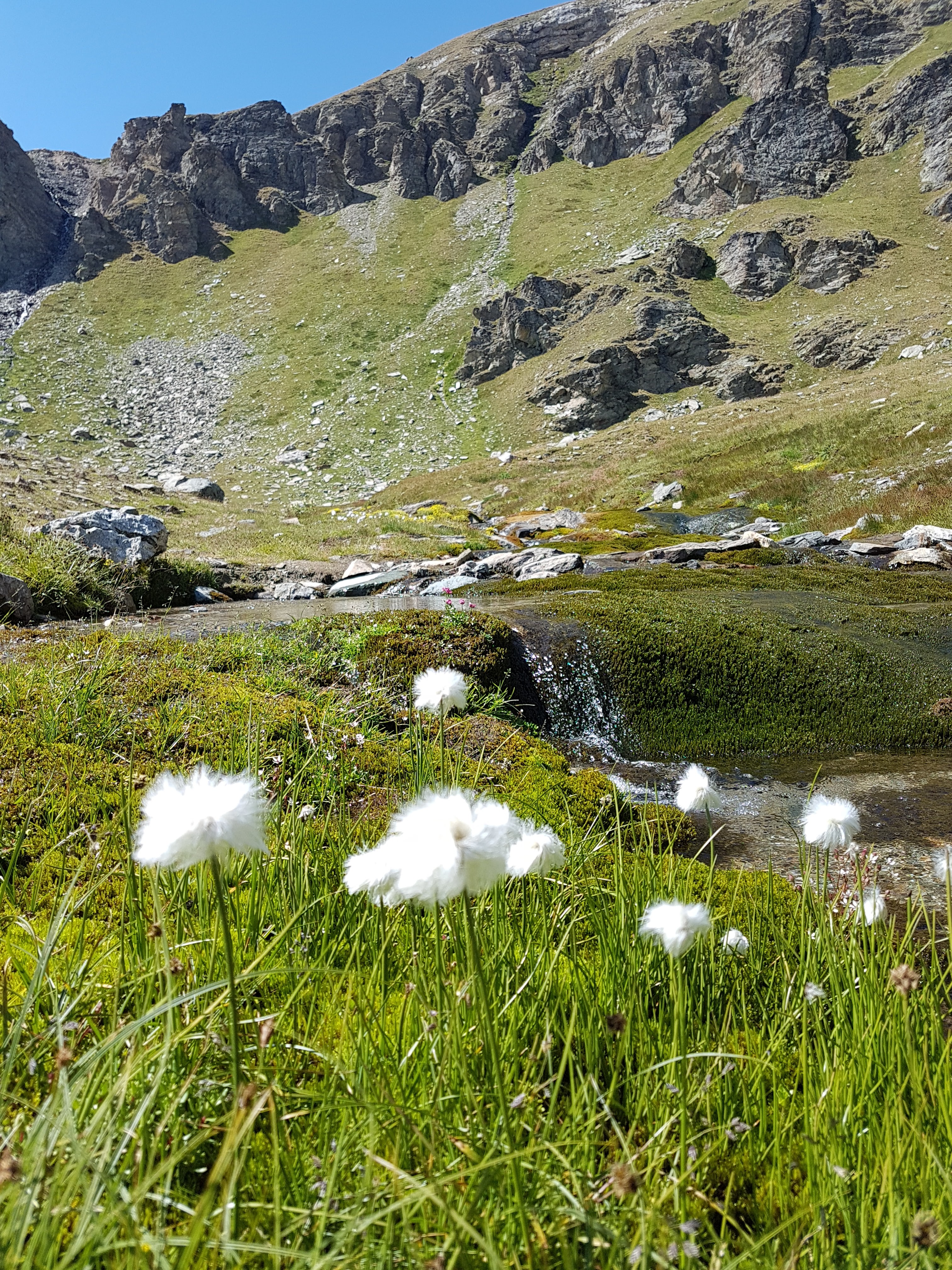 Photo n° 3 de l'avis de Guillaume.o fait le 24/07/2022 à 19:51