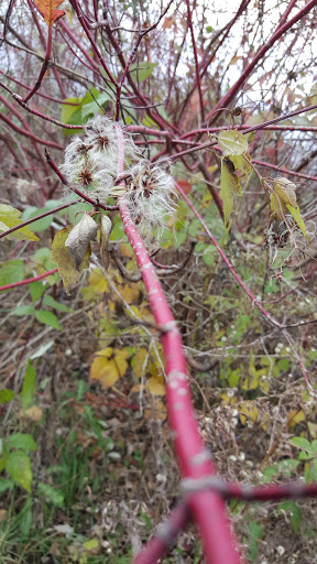 Nature Preserve «Kishwauketoe Nature Conservancy», reviews and photos, 251 Elkhorn Rd, Williams Bay, WI 53191, USA