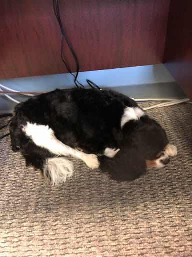 Mailing Service «Burns Mailing and Printing, Inc.», reviews and photos, 6131 Industrial Heights Dr NW, Knoxville, TN 37909, USA