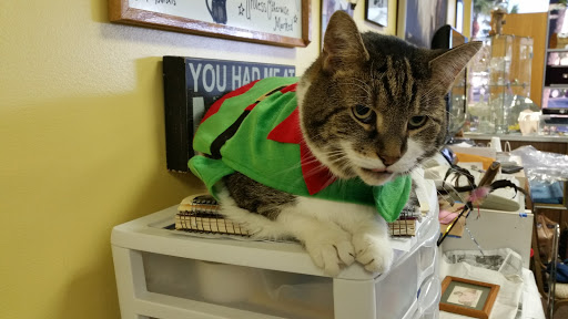 Shopping Mall «Promenade Shopping Plaza», reviews and photos, 9840 FL A1AAlt, Palm Beach Gardens, FL 33410, USA