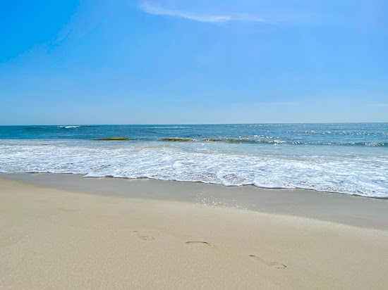 Assateague beach