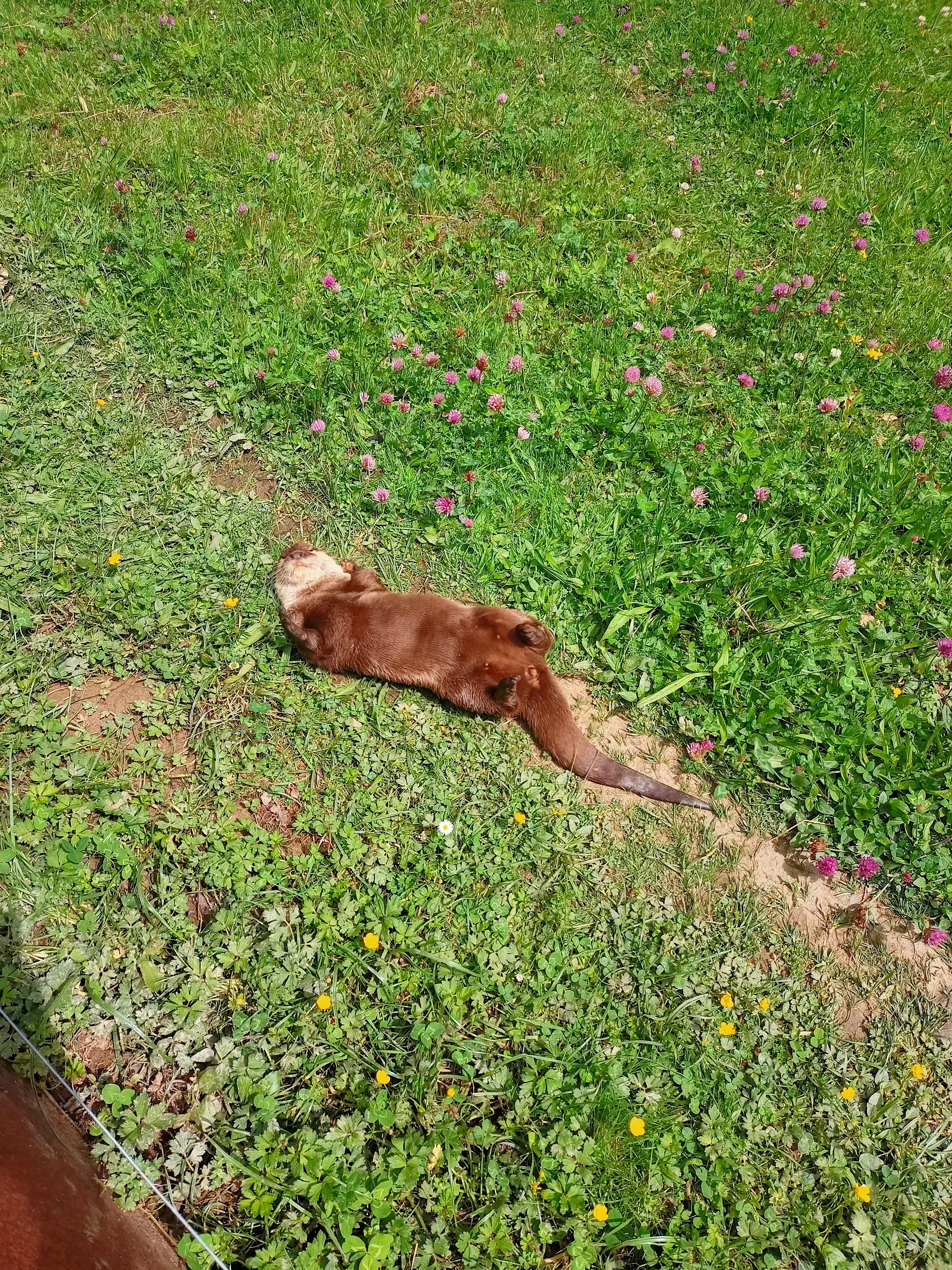 Photo n° 7 de l'avis de Wilfried.O fait le 27/05/2022 à 16:49