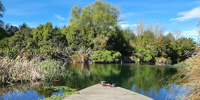 Northbrook Wetlands