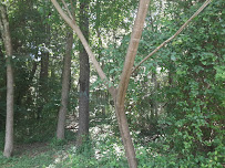 First National Investments and Closings LLC - Photo 4 - Car repair in , Mesa