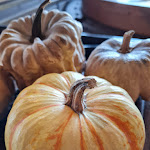 Photo n°5 de l'avis de Roberto.r fait le 19/02/2024 à 19:31 sur le  La Marianna | Ristorante à Bergamo