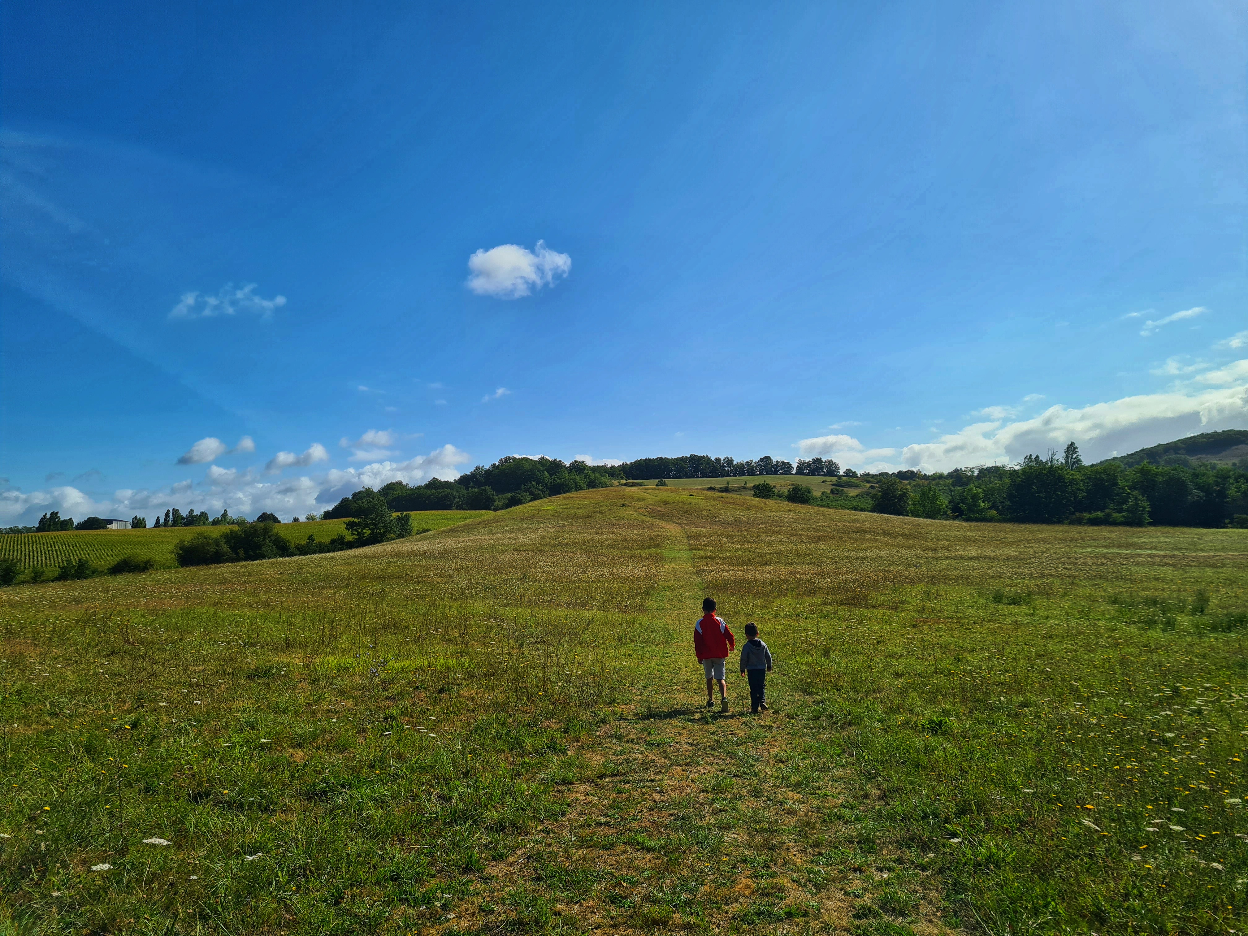 Photo n° 9 de l'avis de wilfried.o fait le 18/08/2023 à 15:48