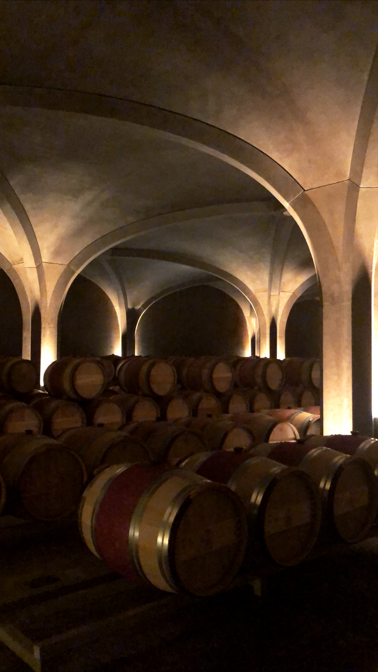 Photo n° 2 de l'avis de Adrien.e fait le 25/02/2020 à 16:24