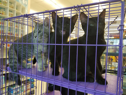 Pet Supply Store «Pet Supplies Plus», reviews and photos, 1258 Northlake Blvd, Lake Park, FL 33403, USA