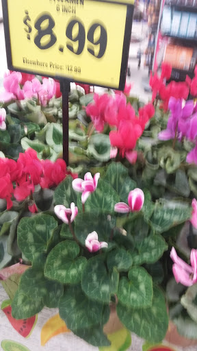 Grocery Store «Grocery Outlet Bargain Market», reviews and photos, 3308 NE 3rd Ave, Camas, WA 98607, USA