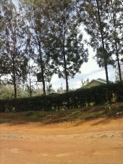 Photos of Kitale Museum