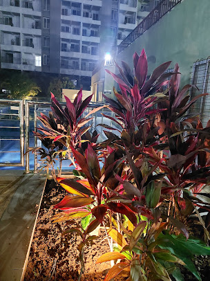 Google Maps image 30