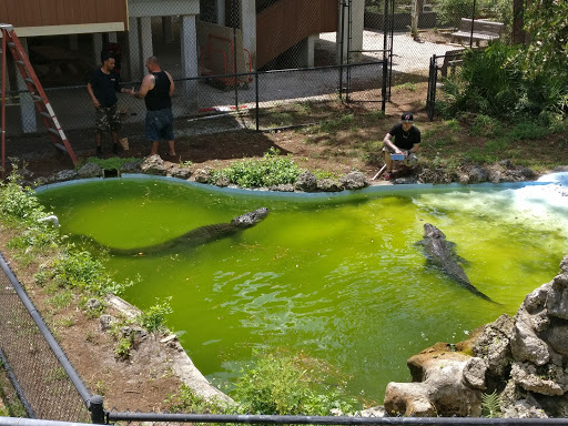 Nature Preserve «Calusa Nature Center & Planetarium», reviews and photos, 3450 Ortiz Ave, Fort Myers, FL 33905, USA