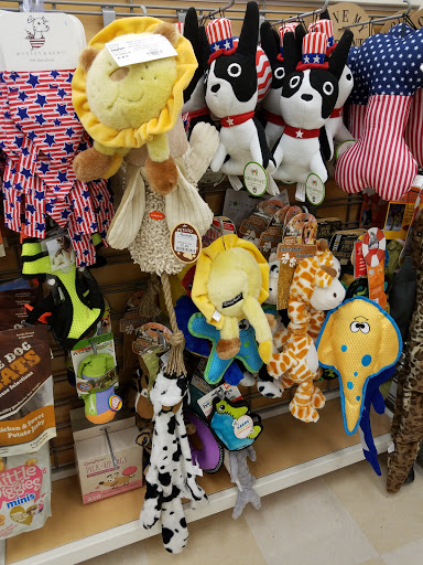 Department Store «Marshalls», reviews and photos, 275 Needham St, Newton, MA 02464, USA