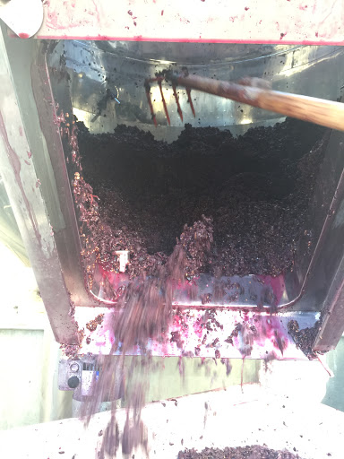 Winery «Stephen & Walker Winery», reviews and photos, 243 Healdsburg Ave, Healdsburg, CA 95448, USA