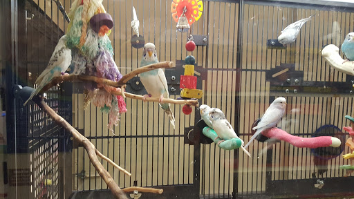 Pet Supply Store «PetSmart», reviews and photos, 901 US-1, North Brunswick Township, NJ 08902, USA