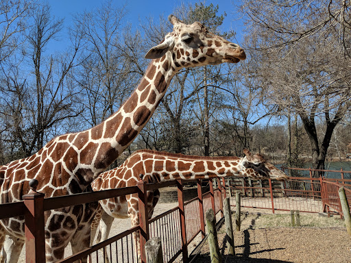Zoo «Mesker Park Zoo», reviews and photos, 1545 Mesker Park Dr, Evansville, IN 47720, USA