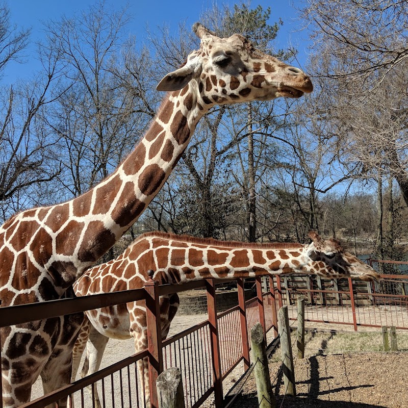 Mesker Park Zoo