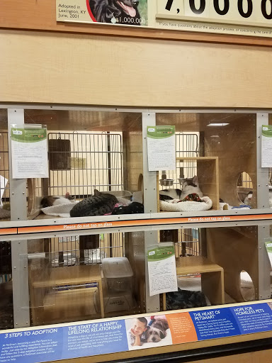 Pet Supply Store «PetSmart», reviews and photos, 400 S State Rd, Springfield, PA 19064, USA