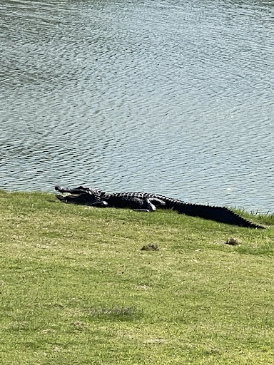 Country Club «LPGA International», reviews and photos, 1000 Champions Dr, Daytona Beach, FL 32124, USA