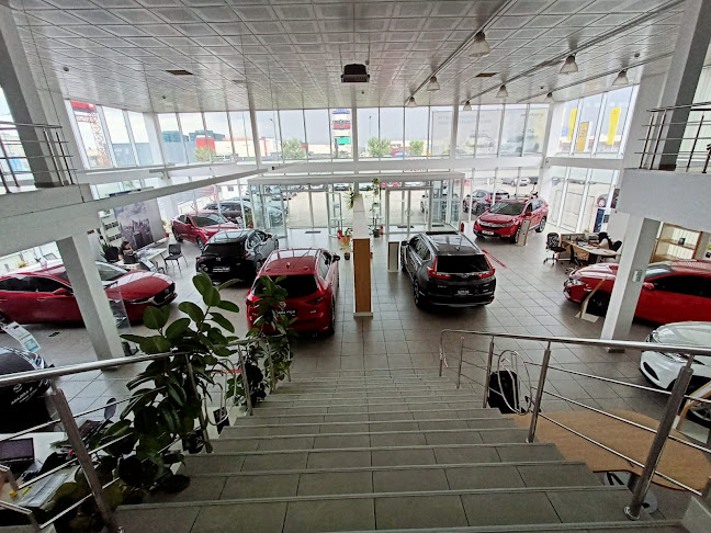Opinii despre Rădăcini Motors Brasov în <nil> - Dealer Auto