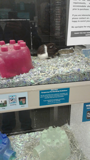 Pet Supply Store «PetSmart», reviews and photos, 901 US-1, North Brunswick Township, NJ 08902, USA