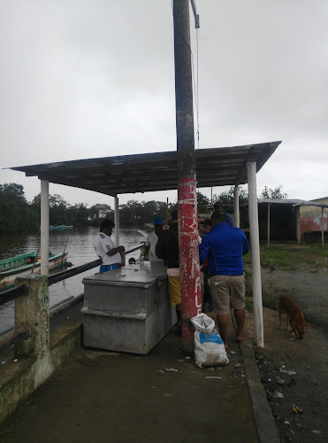 Opiniones de Puerto Artesanal Camaronero de San Gregorio en Muisne - Tienda de ultramarinos