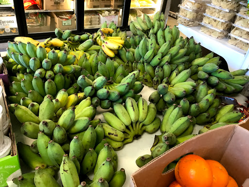 Asian Grocery Store «My Hoa Oriental Food Market», reviews and photos, 454 Azalea Rd, Mobile, AL 36609, USA