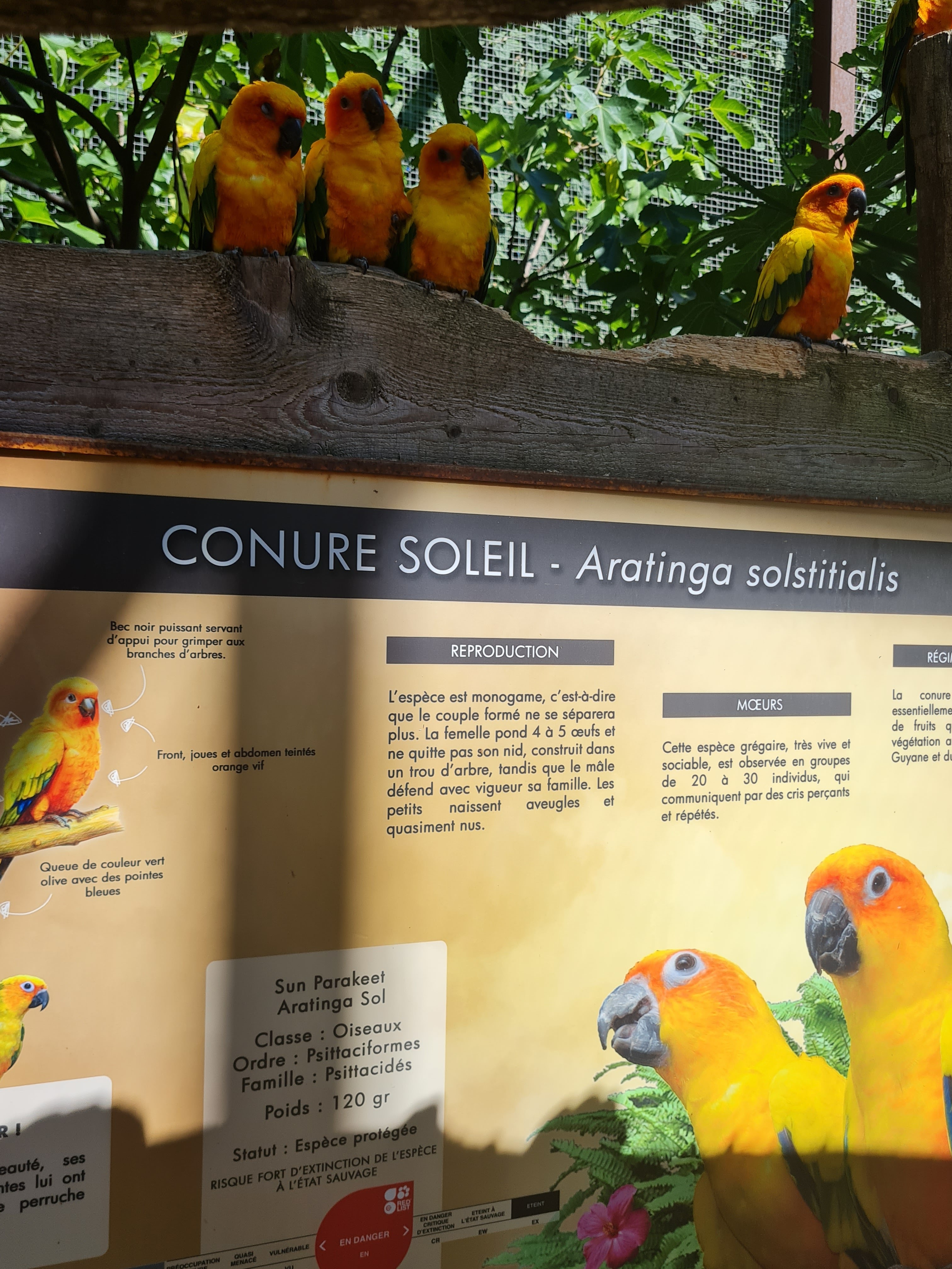 Photo n° 17 de l'avis de Marjo.e fait le 29/08/2021 à 18:20