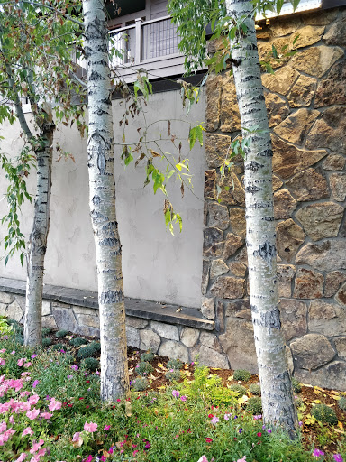 Resort «Manor Vail Lodge», reviews and photos, 595 Vail Valley Dr, Vail, CO 81657, USA