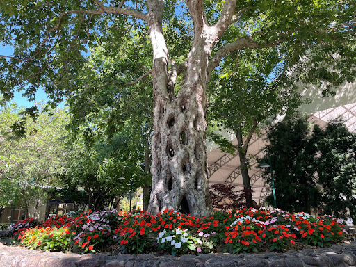 Gilroy Gardens Family Theme Park image