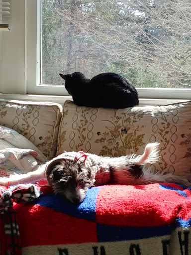 72 Samoset St, Plymouth, MA 02360, USA