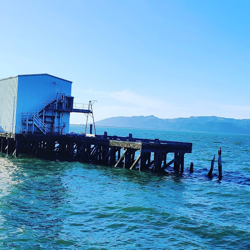 Grocery Store «Grocery Outlet Bargain Market», reviews and photos, 878 Molalla Ave, Oregon City, OR 97045, USA