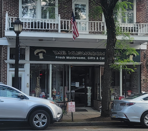 Gift Shop «The Mushroom Cap», reviews and photos, 114 W State St, Kennett Square, PA 19348, USA