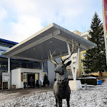 Photo n°1 de l'avis de Fred.a fait le 15/01/2024 à 18:36 sur le  Morada Hotel Alexisbad Harz à Harzgerode