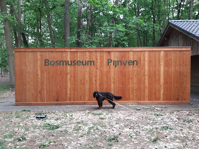 Bosmuseum Pijnven - Museum