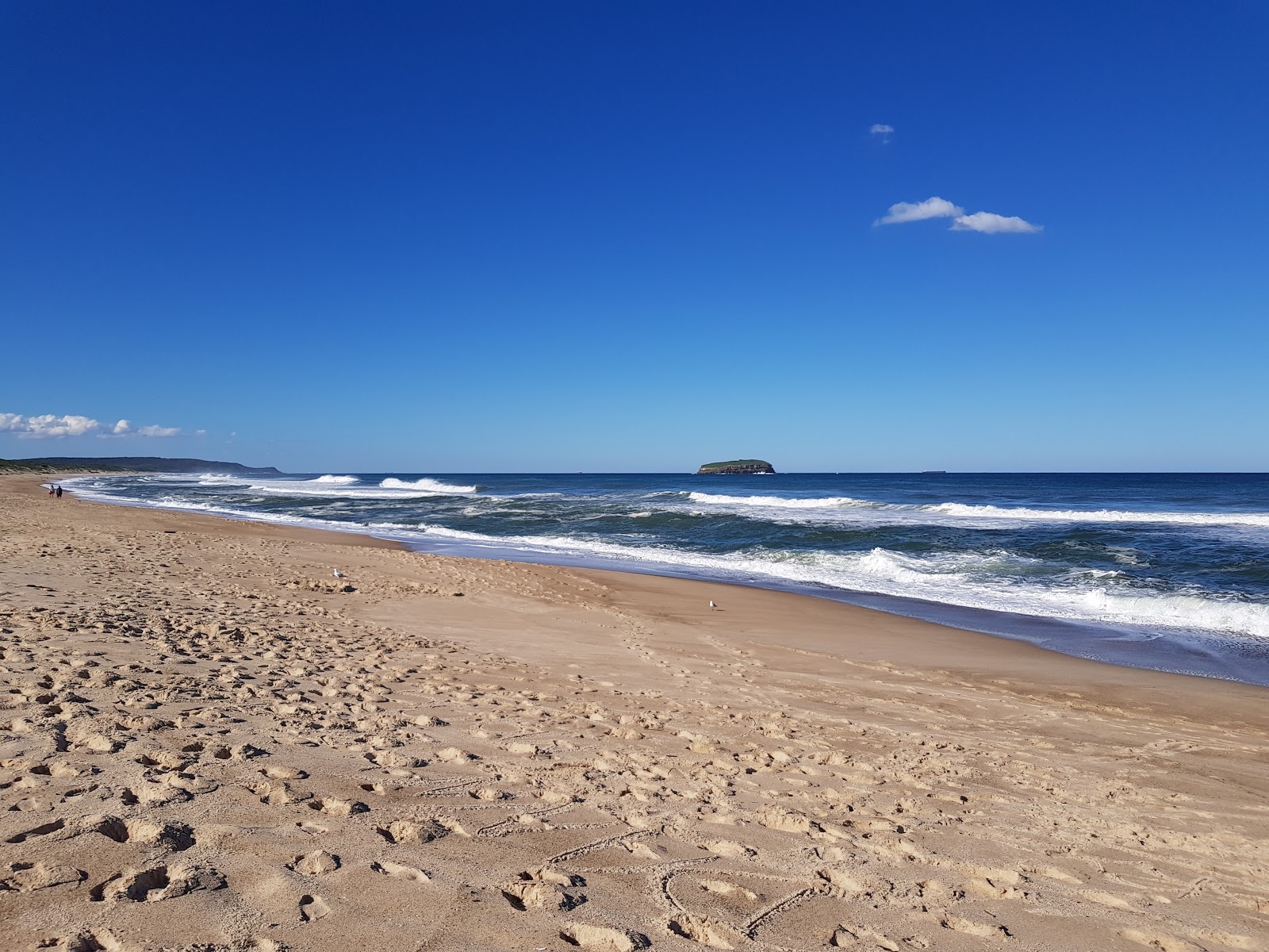 Photo de Budgewoi Beach - bon endroit convivial pour les animaux de compagnie pour les vacances