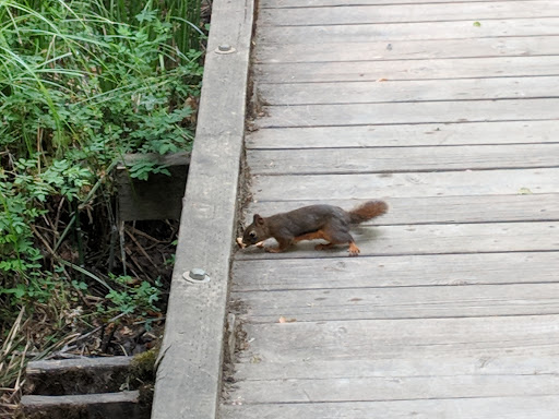 Park «Noble Woods Park», reviews and photos, 475 SE Century Blvd, Hillsboro, OR 97123, USA