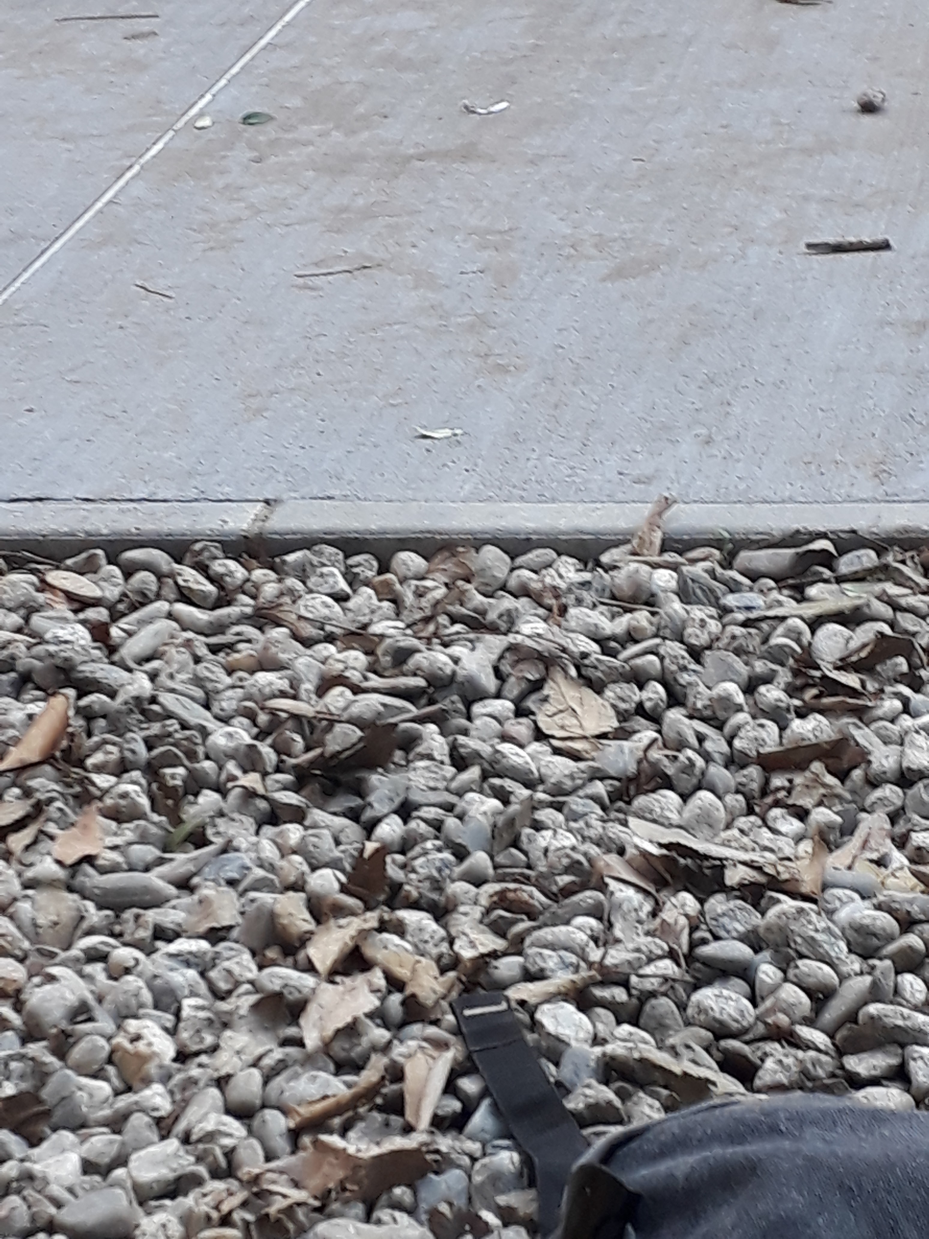 Photo n° 24 de l'avis de William.m fait le 11/12/2018 à 12:09
