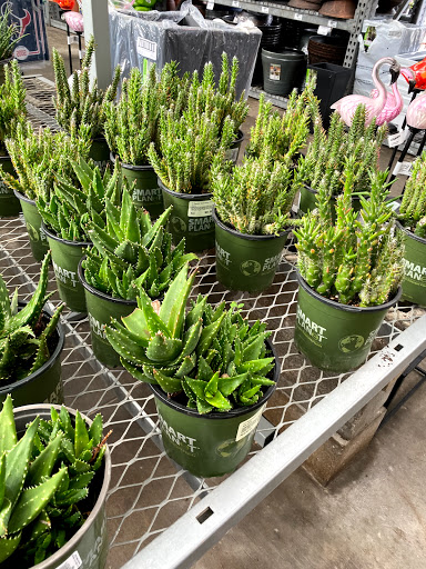 Home Improvement Store «The Home Depot», reviews and photos, 14085 Northwest Fwy, Houston, TX 77040, USA