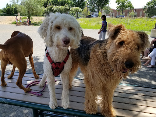 Park «Eugene Simpson Stadium Park», reviews and photos, 426 E Monroe Ave, Alexandria, VA 22301, USA