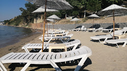 Landscape beach'in fotoğrafı biraz temiz temizlik seviyesi ile