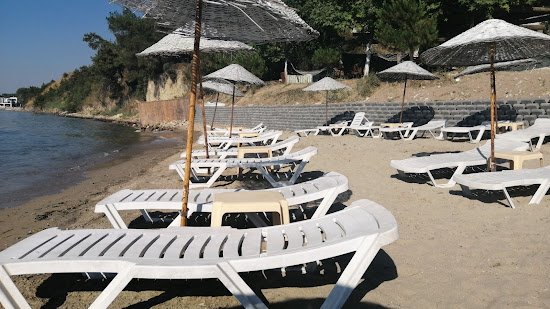 Landscape beach