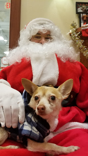 Pet Supply Store «PetSmart», reviews and photos, 3111 111th St, Naperville, IL 60564, USA