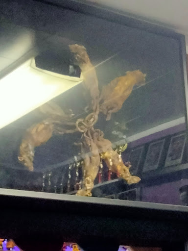 Tattoo Shop «Sacred Soul Tattoo», reviews and photos, 1160 S Wadsworth Blvd, Lakewood, CO 80232, USA