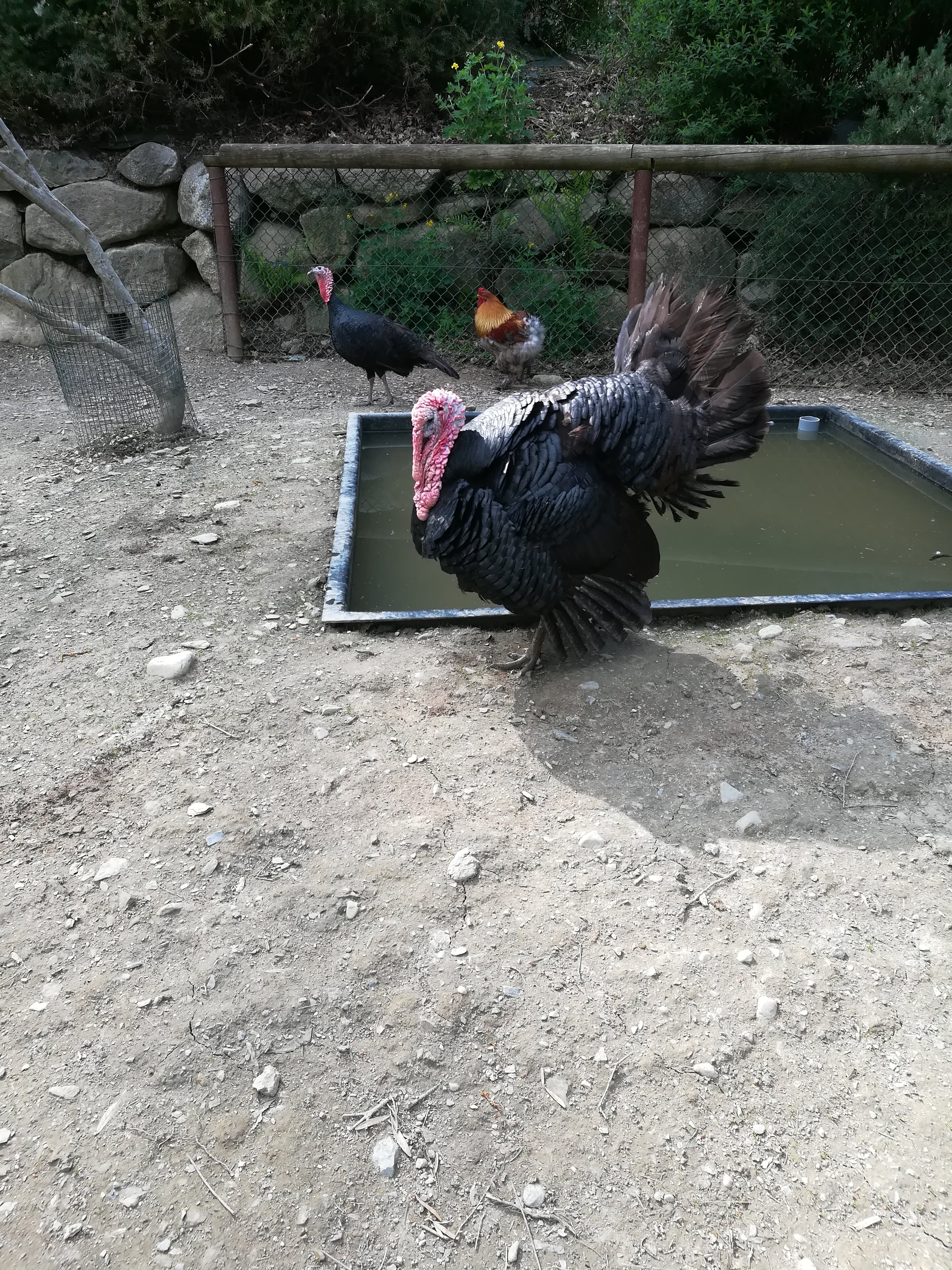 Photo n° 22 de l'avis de Sarah.L fait le 21/04/2018 à 18:44