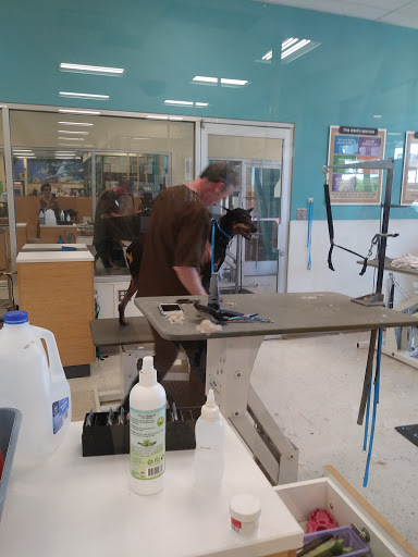 Pet Supply Store «Petco Animal Supplies», reviews and photos, 231 N Glendale Ave, Glendale, CA 91206, USA