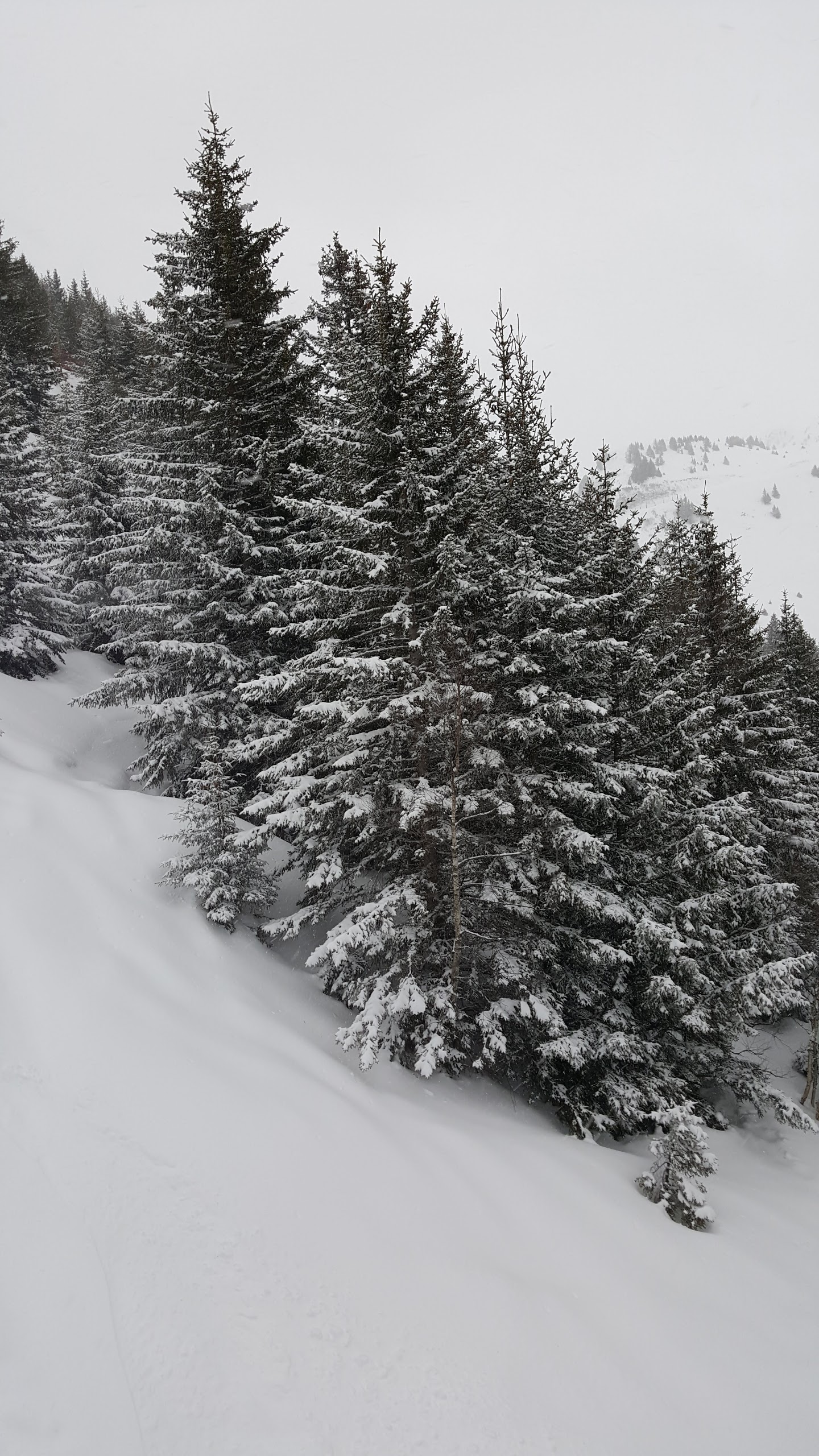 Photo n° 3 de l'avis de *.h fait le 01/01/2018 à 19:36