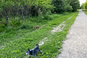 Cleary Lake Dog Park image